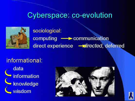 Cyberspace: co-evolution